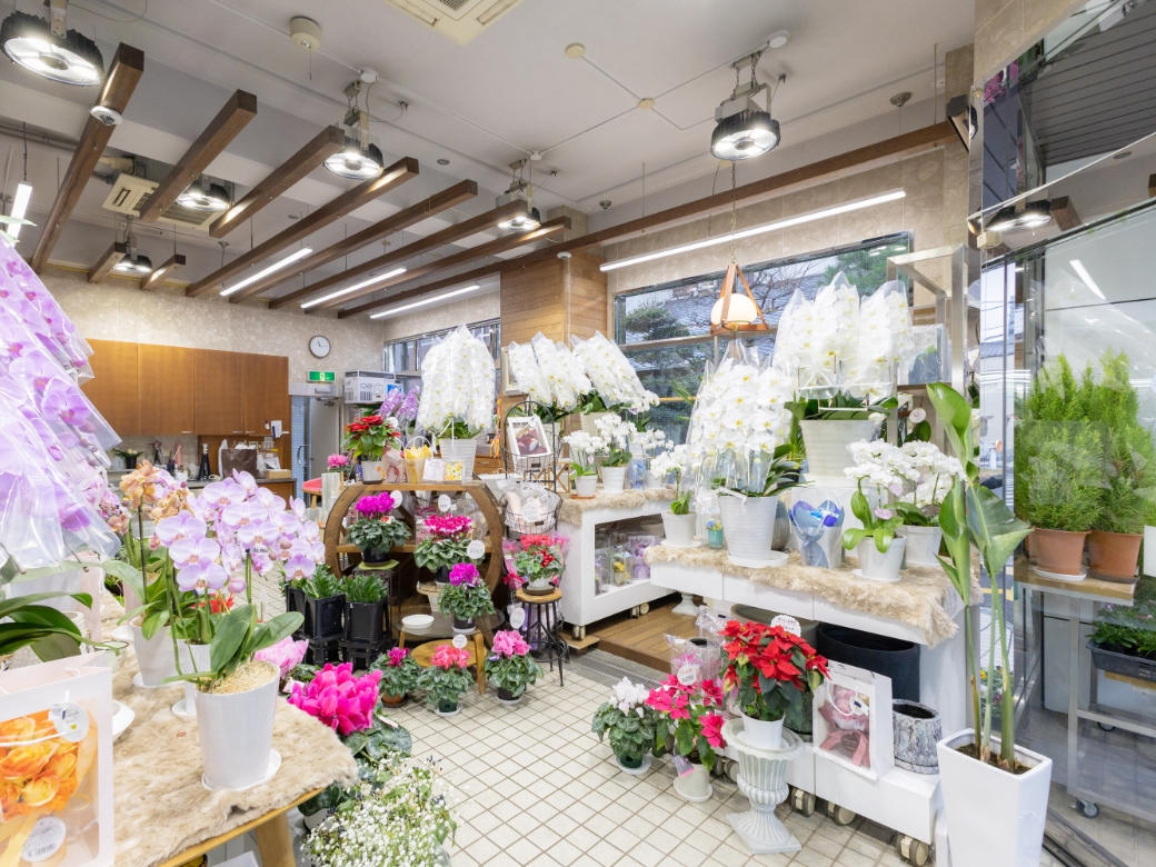 花菊本店の店内