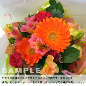 orange/pink
