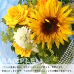 yellow2