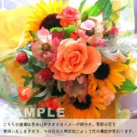 yellow/orange