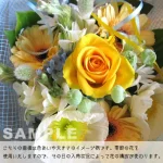 yellow3