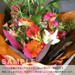pink/orange