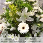 white1