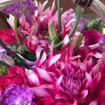 pinkviolet