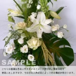 white2