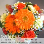 orange Lサイズ