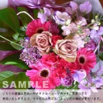 pinkviolet Mサイズ