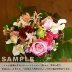 pinkviolet