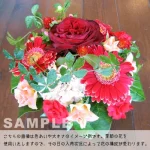 red Lサイズ