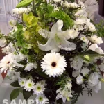 white1 Lサイズ