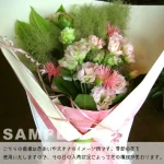 pink/momo Lサイズ