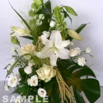 white2 Lサイズ